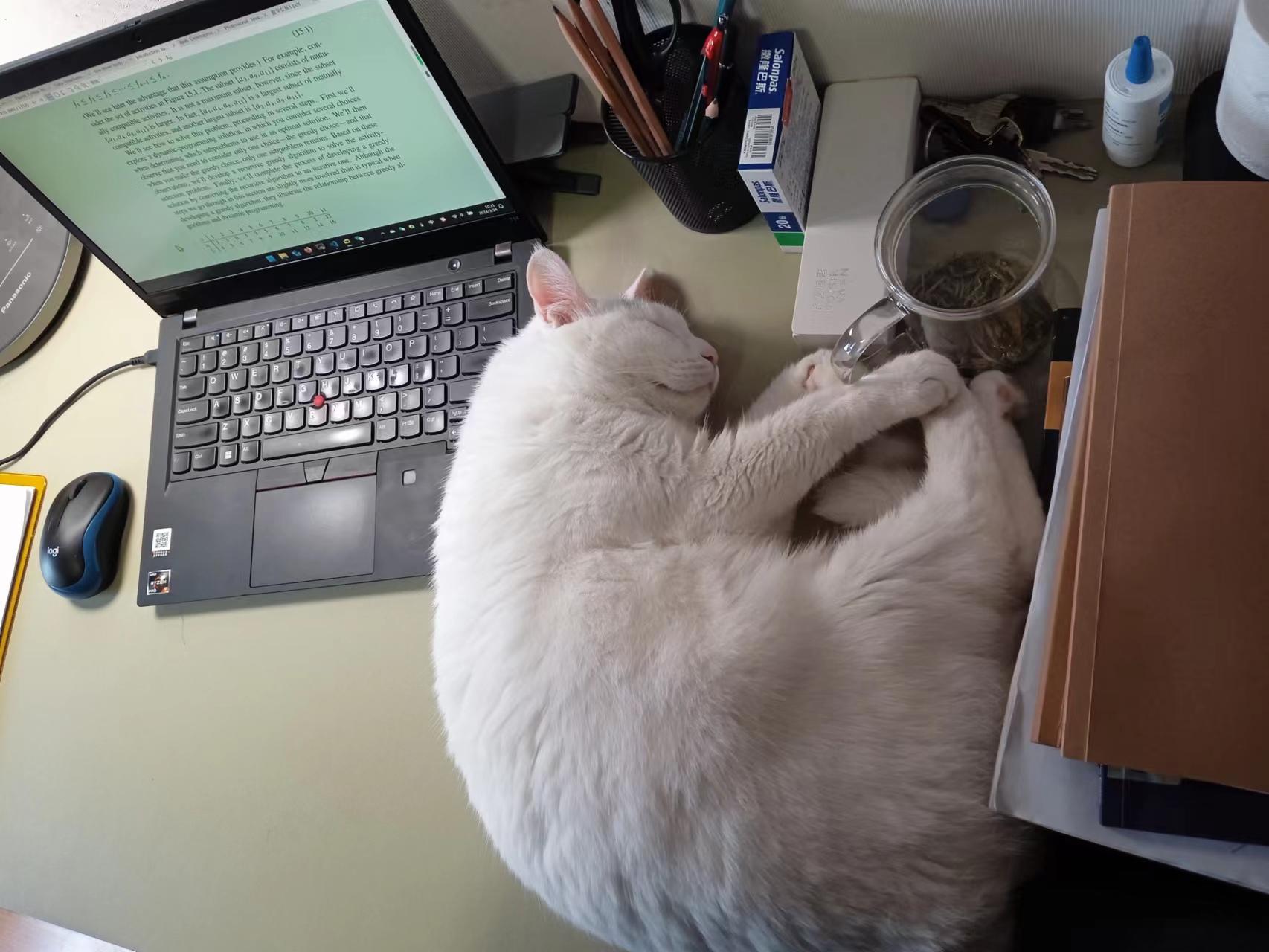 Tom is sleeping while I am studying backtracking algorithm